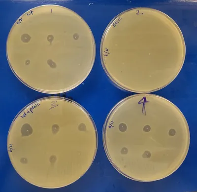 Lab photo 5